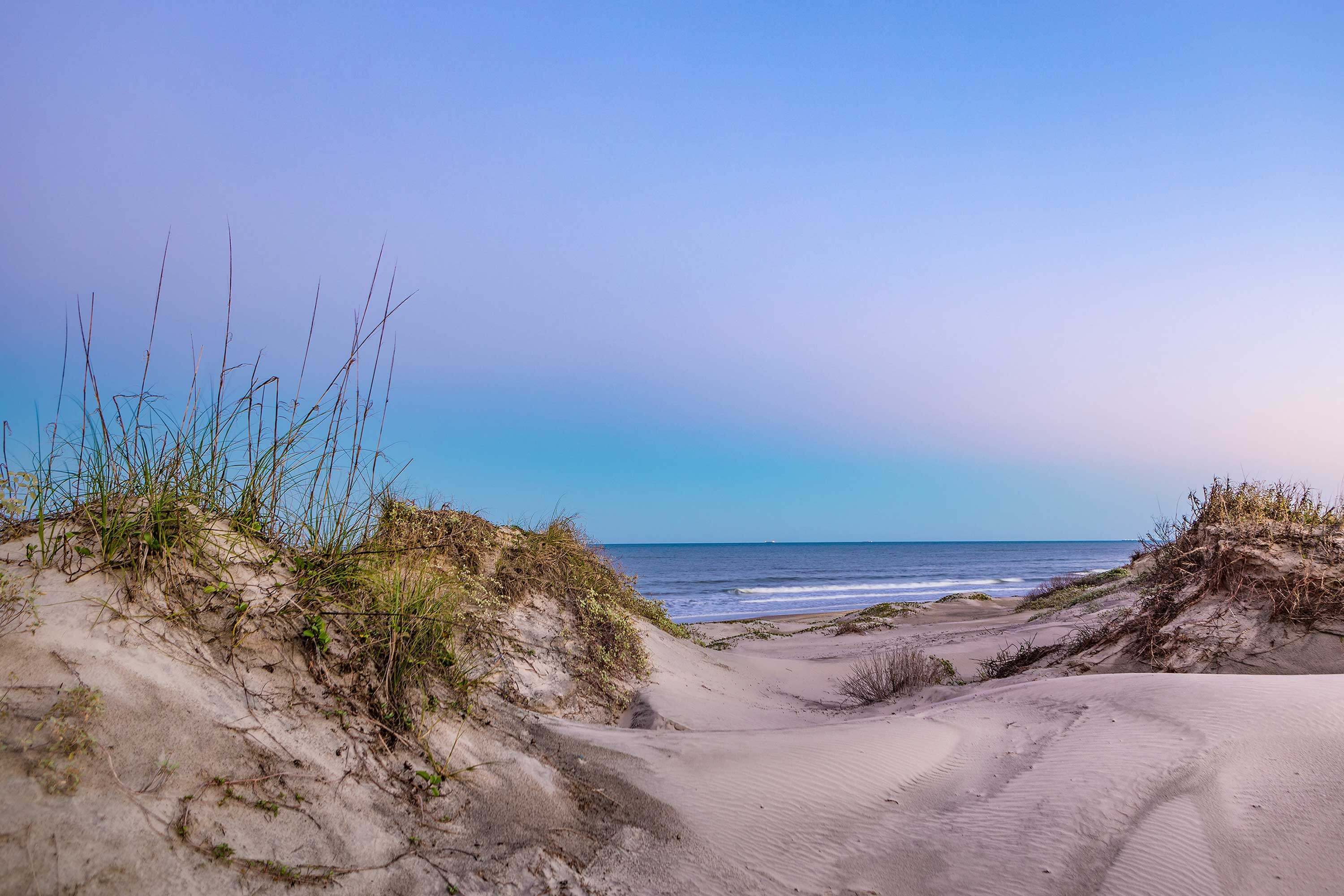 Sandy dune with ocean in the background